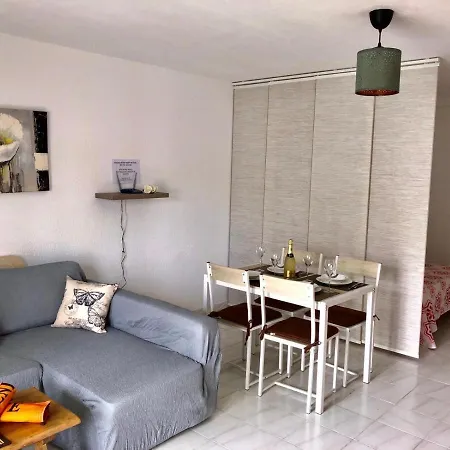 Large Loft In Cristianos With Wi-fi And Pool Apartment *