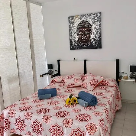 Large Loft In Cristianos With Wi-fi And Pool Apartment *